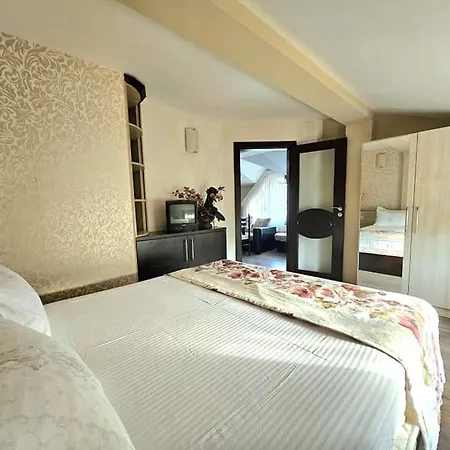 Guest house Magnolia 4*